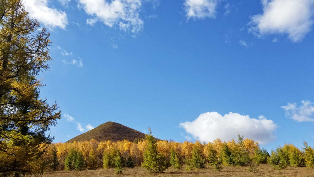 夏秋的坝上草原是美丽的风景画